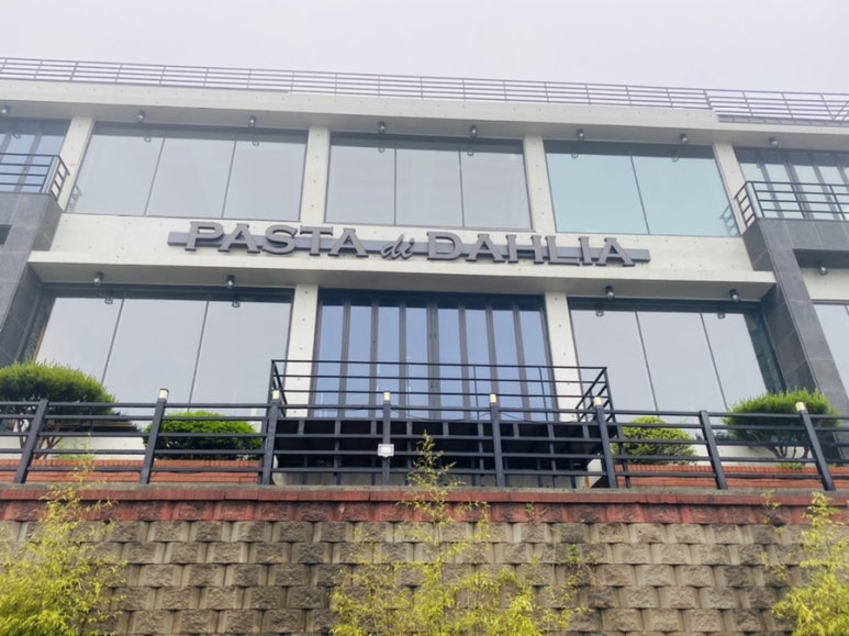베이커달리아 이미지