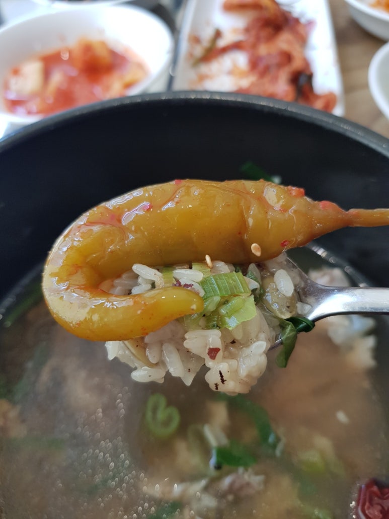 능이버섯백숙 이미지