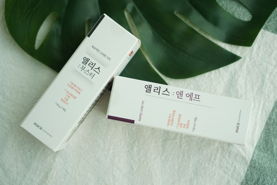 앨리앤앨리스 이미지