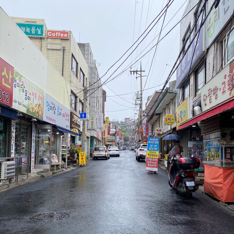 금화장 이미지
