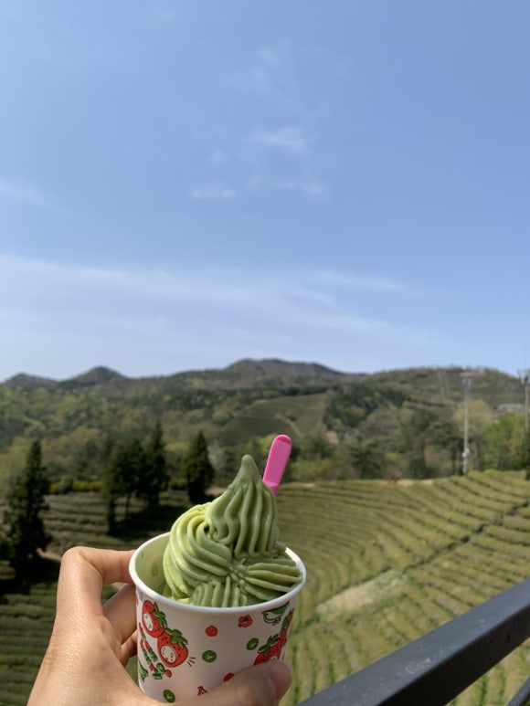 보성녹차오리탕 이미지
