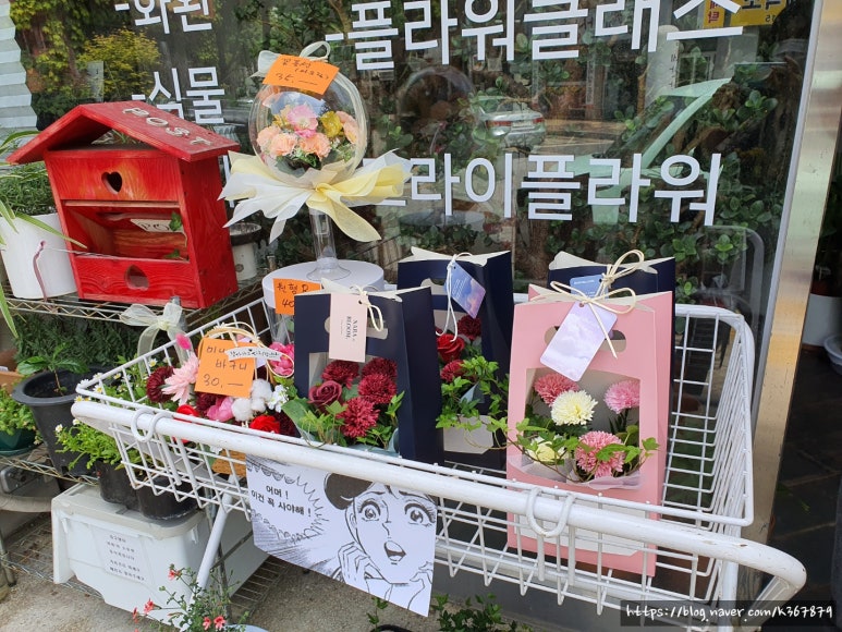 꽃피어나라 이미지