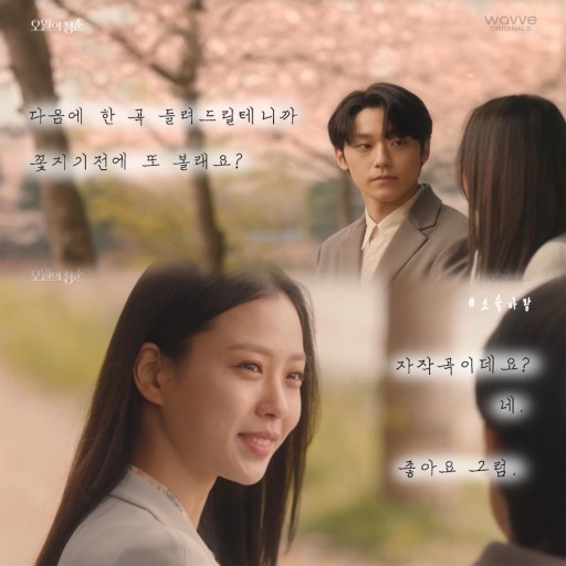 오월의케이크 이미지