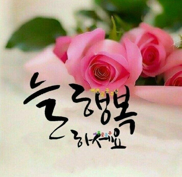 살맛나 이미지