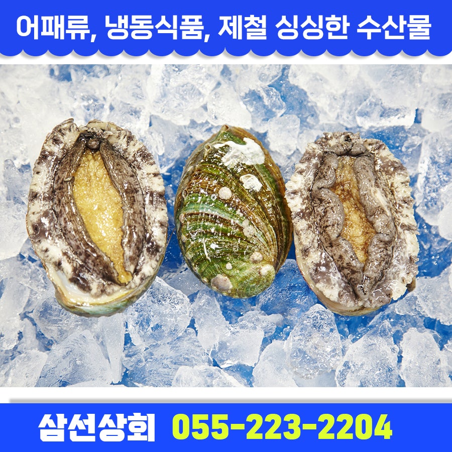 삼선어패류 이미지