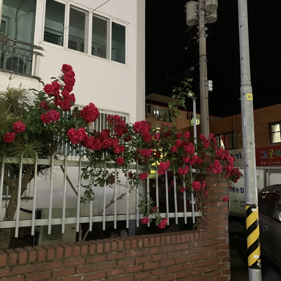 네네치킨도동점 이미지