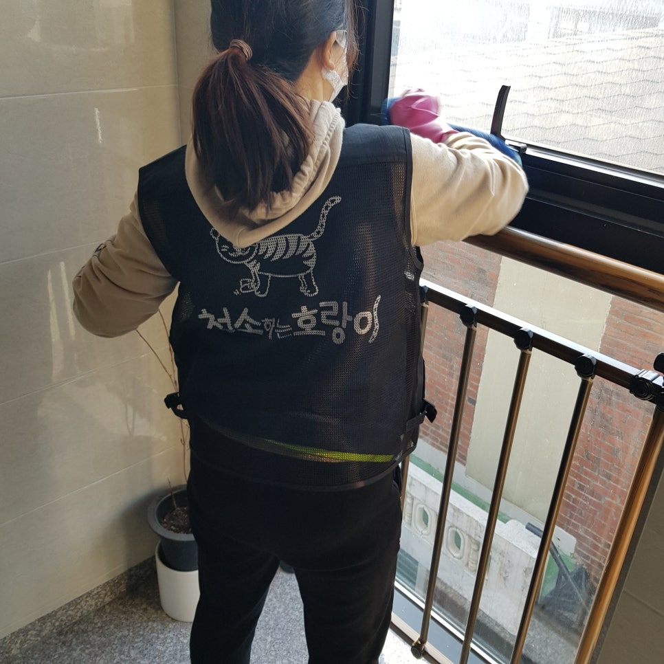 청소하는호랑이 이미지