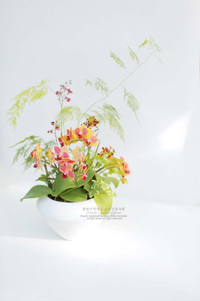 영남화분 이미지