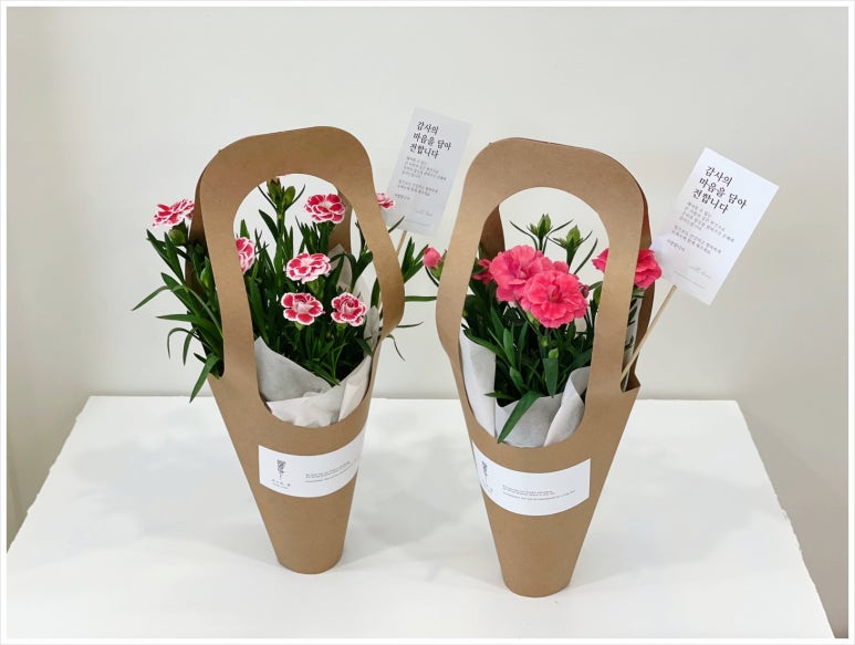 오느른꽃 이미지