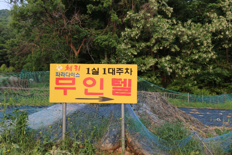 파라다이스무인텔 이미지