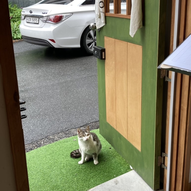송스시 이미지
