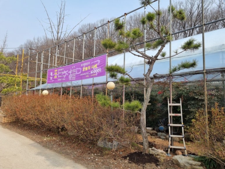 청계대청마루 이미지