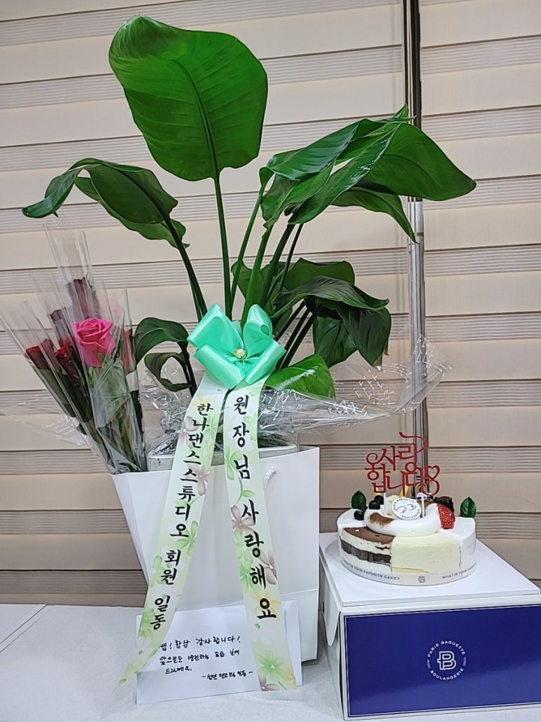 한나댄스스튜디오 이미지