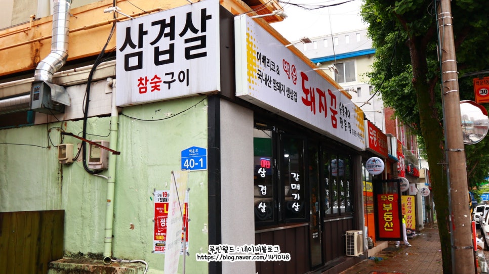 백운돼지꿈 이미지