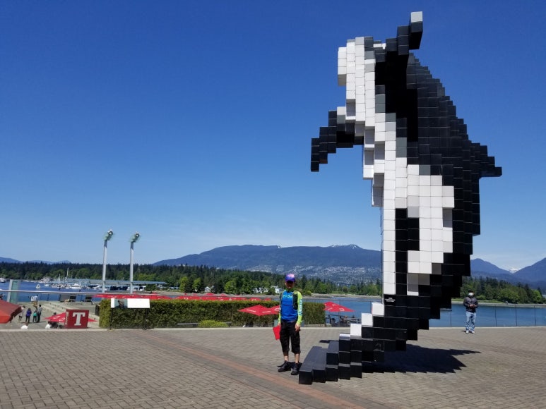 올카 (orca) 이미지