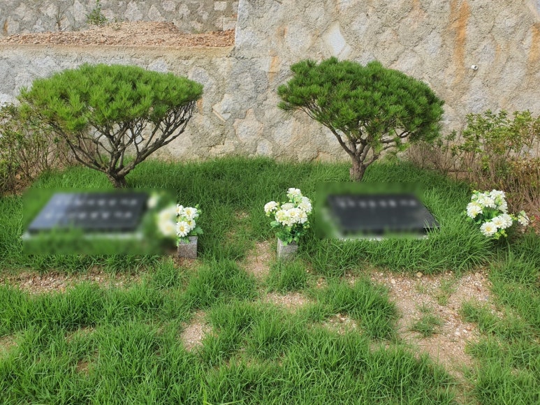 신세계장묘 이미지