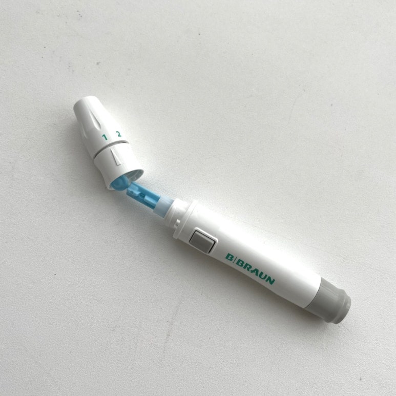 비브라운 이미지