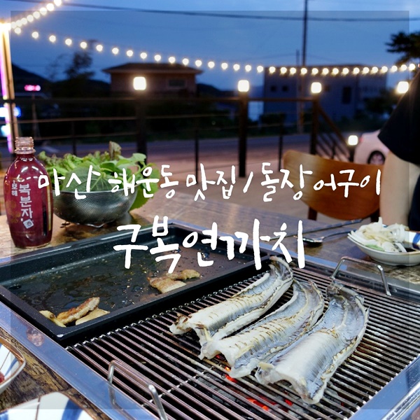 구복연까치 이미지