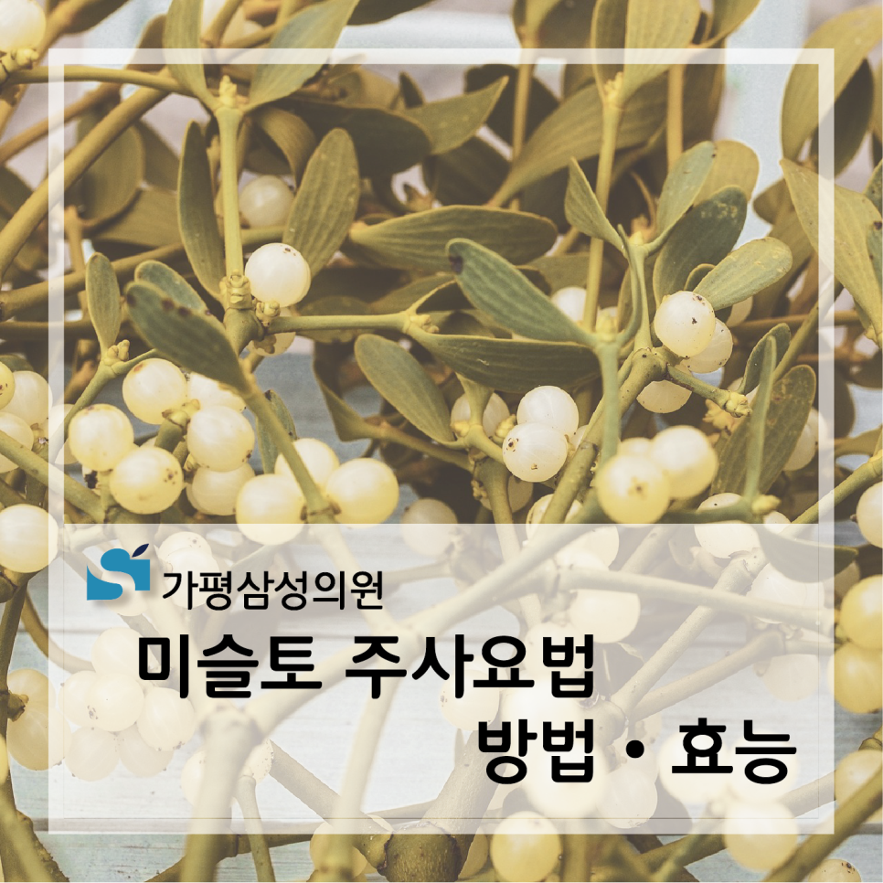 가평삼성의원 이미지