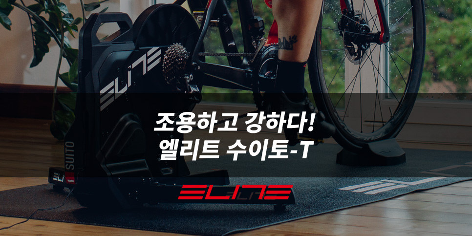 엘리트수 이미지