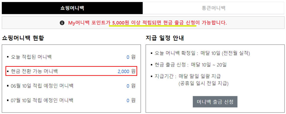 쇼핑머니 이미지
