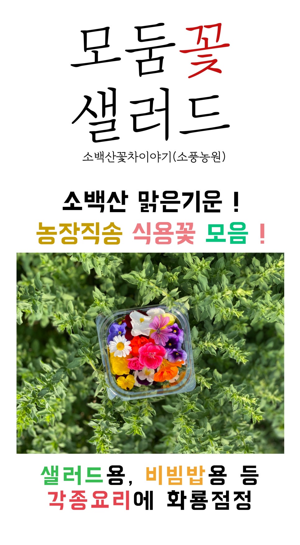 소백산꽃차이야기소풍농원 이미지
