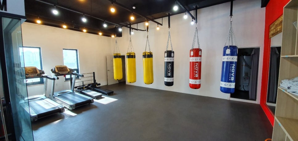 장관식복싱GYM 이미지