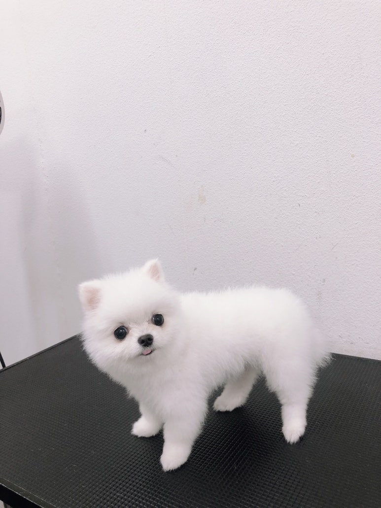 초원샵 이미지