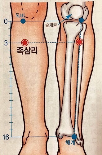 족삼리 이미지