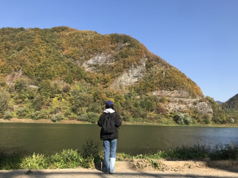 쥬씨단양점 이미지