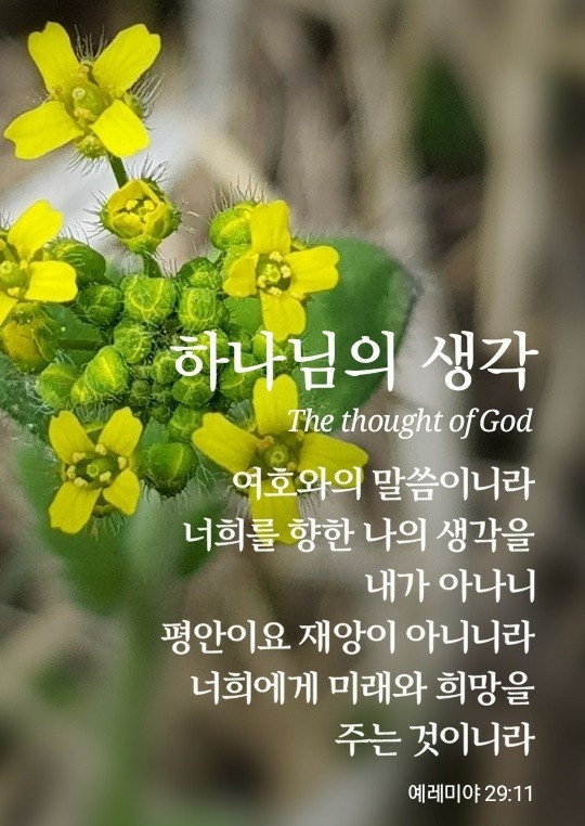 서울커피숍 이미지