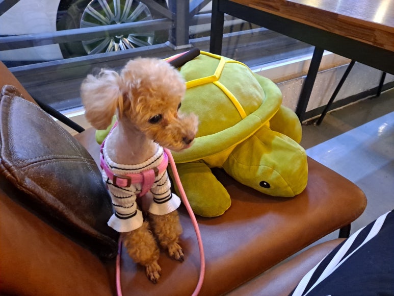 라이트인카페 이미지