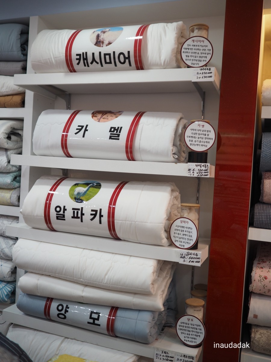 메리퀸동 이미지