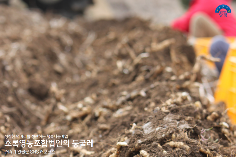 영농조합법인 더초록 이미지