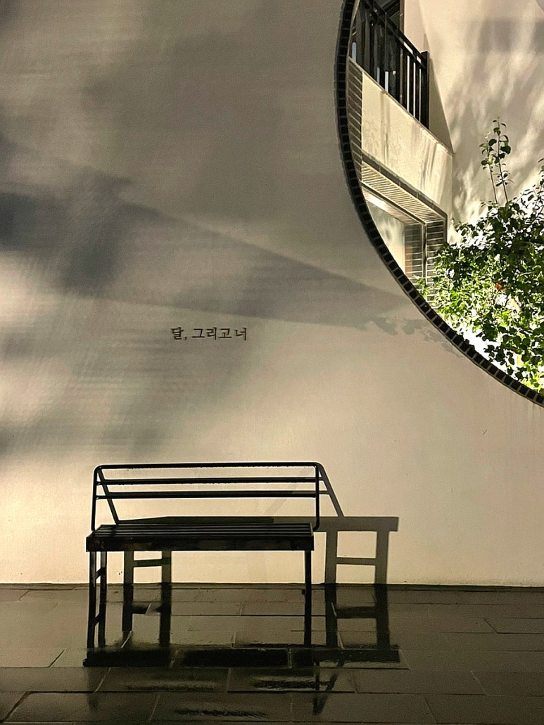 더문338 이미지