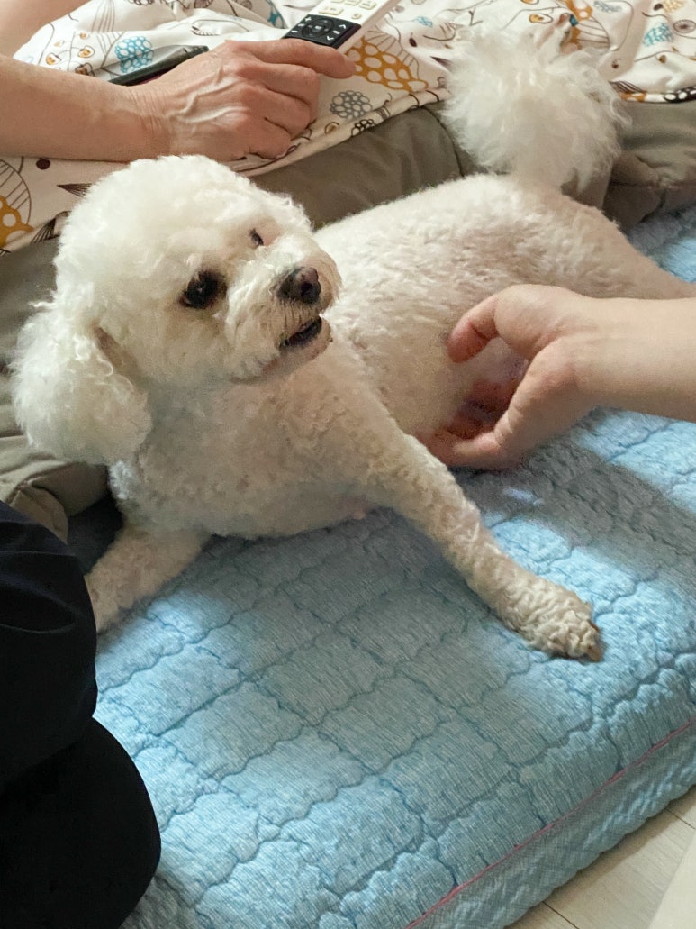 원할머니보쌈족발구파발 이미지