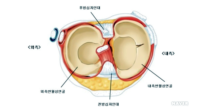 단대오거리정형외과의원 이미지