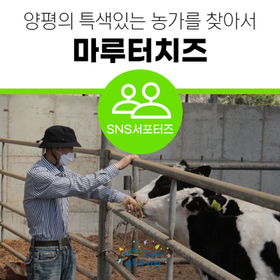 마루터 이미지