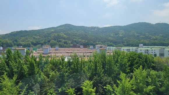 삼백식당 상현점 이미지
