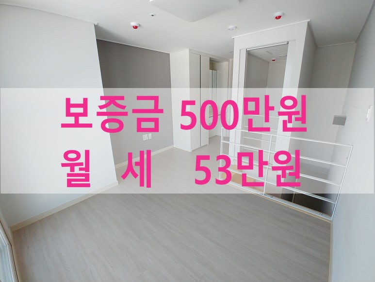 주식회사 라온베이 이미지