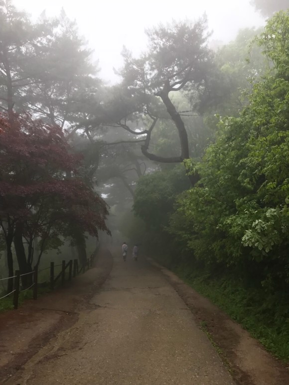 소운갤러리카페 이미지
