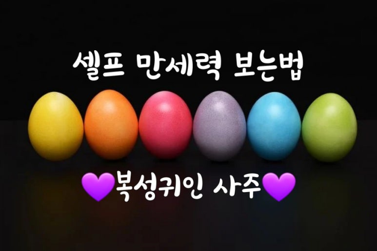 복성운수 이미지