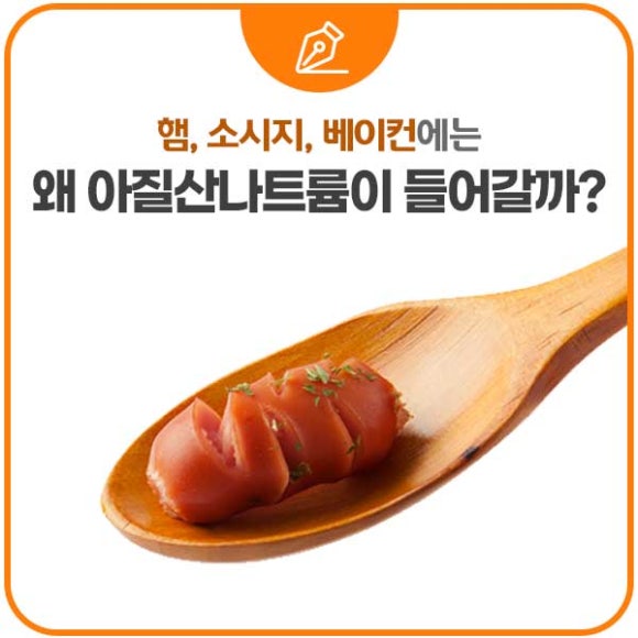 에스비인터내셔널 이미지