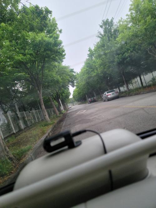 메딕카 이미지