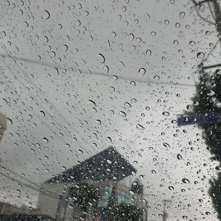 올더쭈꾸미 이미지