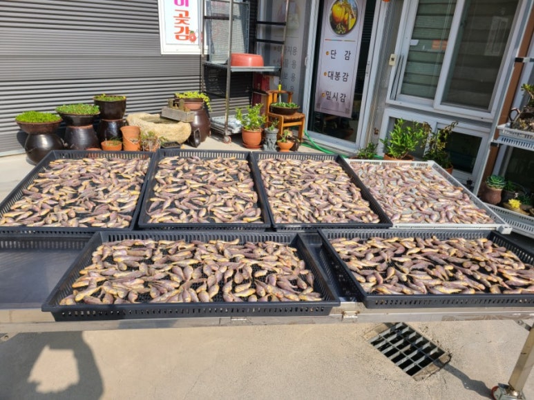 해경농원 이미지