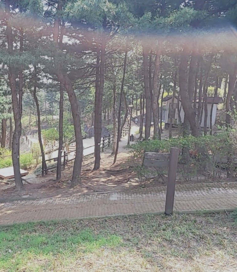 오패산 유아숲체험원 이미지