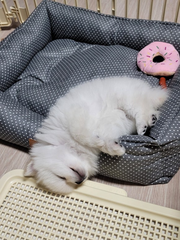 챌린저모바일 이미지