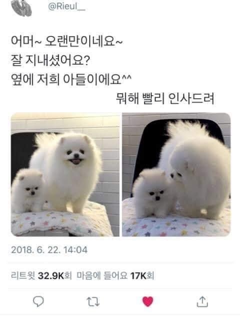 냠냠 이미지