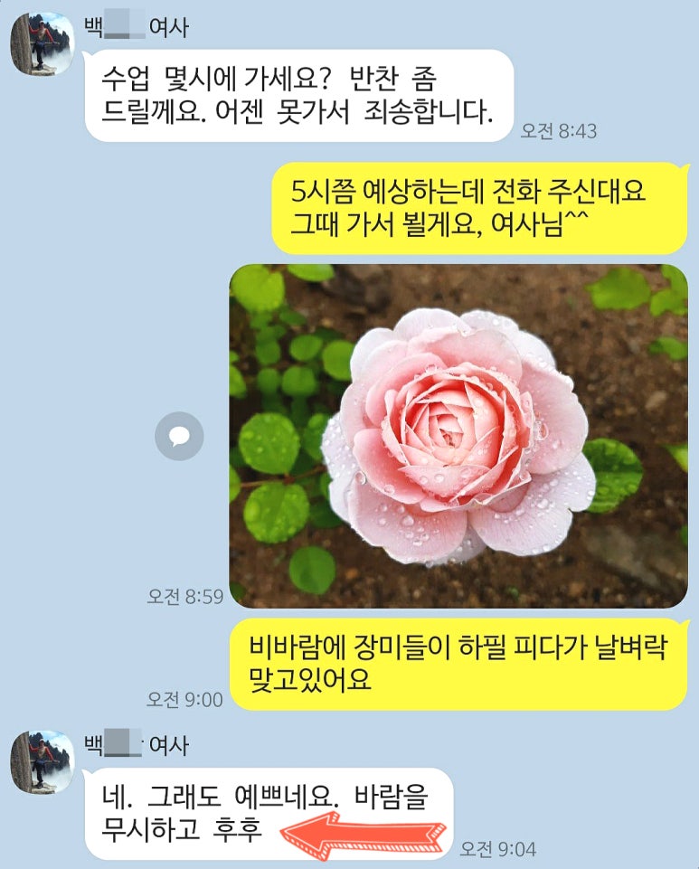 백여사반찬 이미지